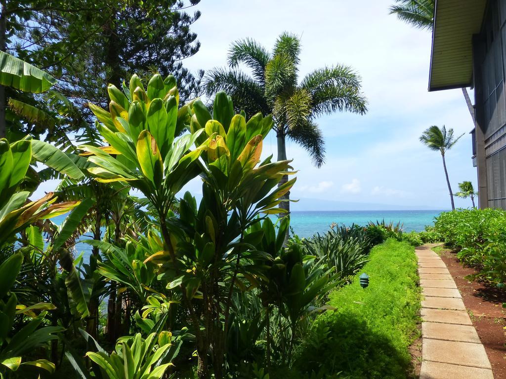 Mahina Surf Lahaina Exterior foto